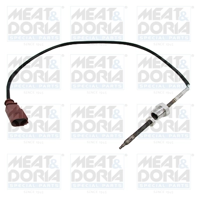Sensor, exhaust gas temperature